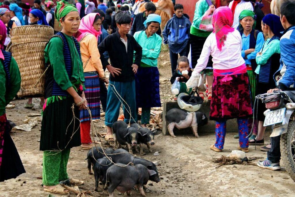 Ha Giang Heritage and Market Adventure