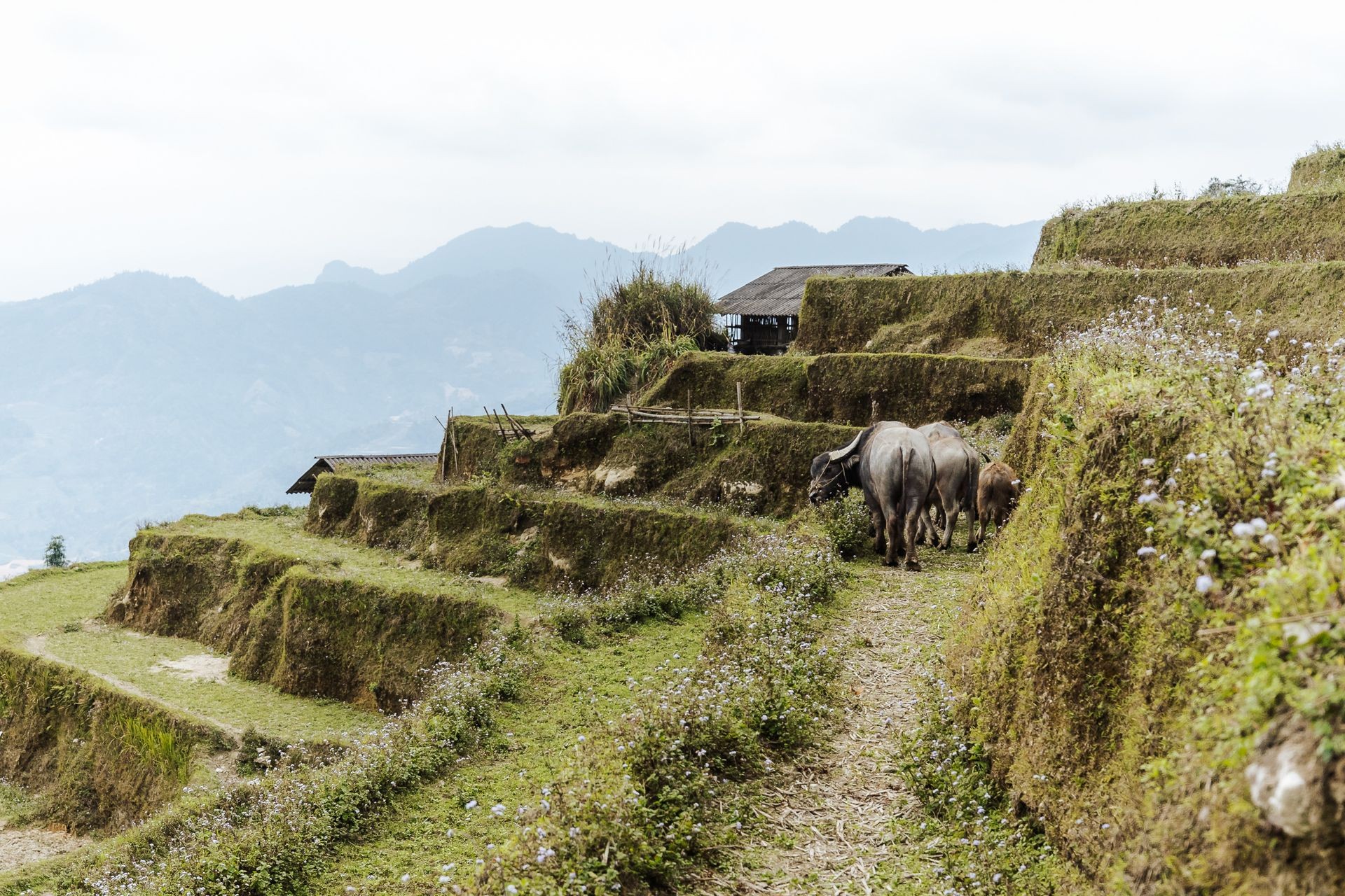 Ha Long of the Mountains